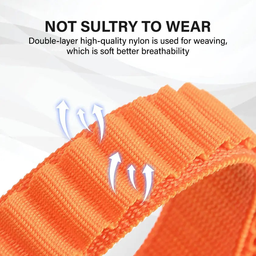 Alpine Loop Apple Watch Band